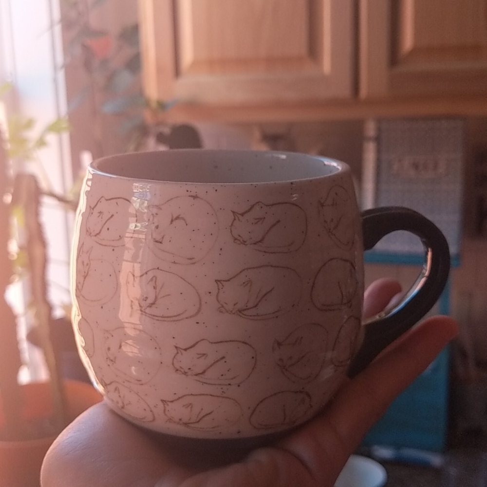 EUC Leah Goren Cat Study Mug